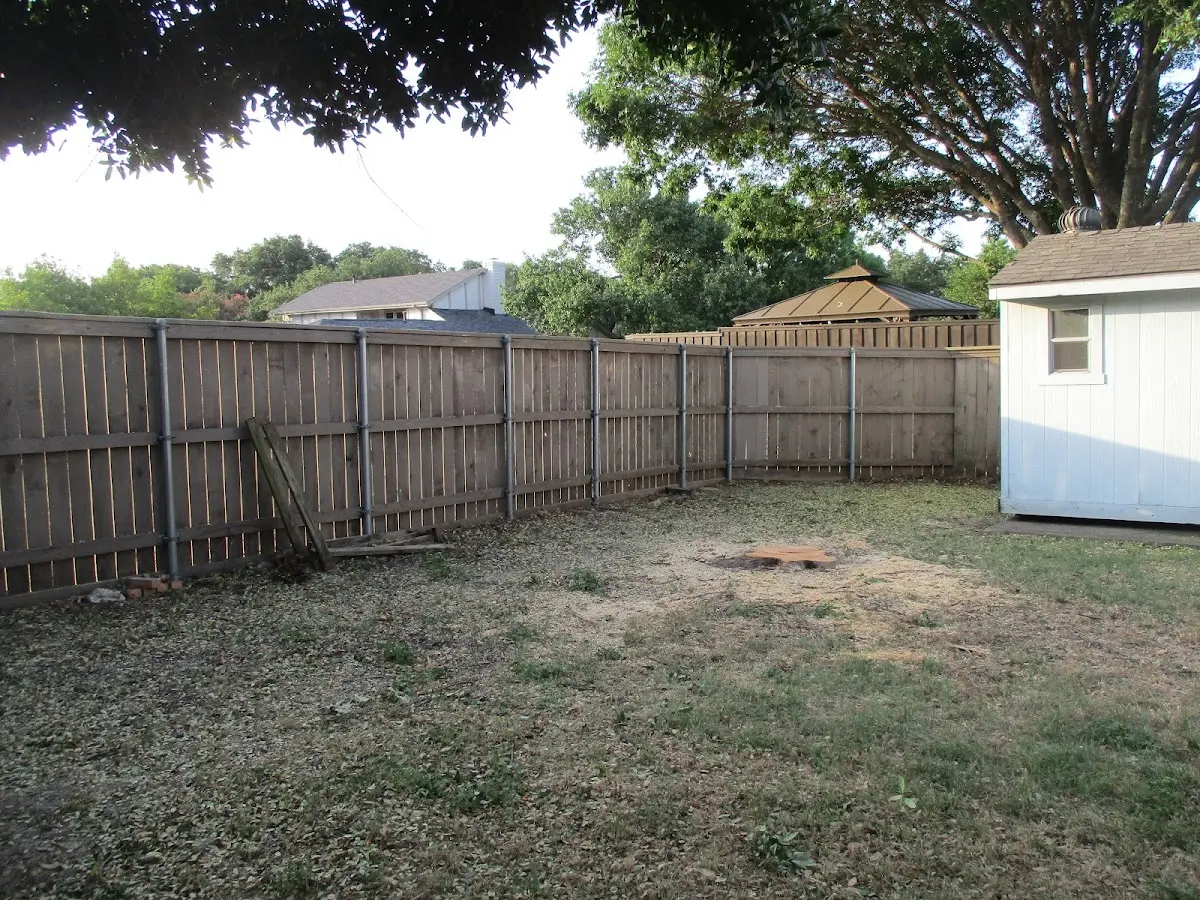 Cleared yard after professional tree removal in West Babylon